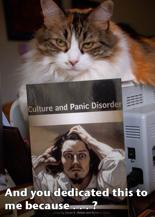 Displeased Feline Displeased Feline