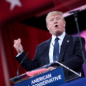 It's Not About the Donald
