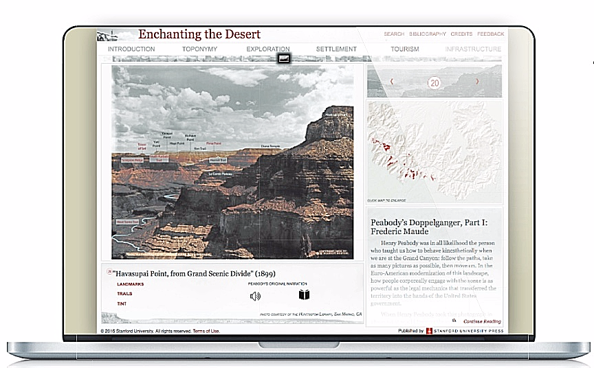 Enchanting the Desert